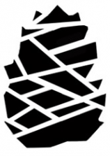 Логотип компании Гостевой дом Baikal Cedar